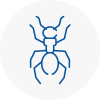 Ant Removals In Shevington