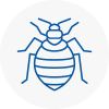 Bed Bug Extermination In Shevington