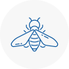 Bee Nest Removal Shevington