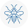 Shevington Hornet Nest Removals
