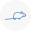 Mice Exterminators In Shevington