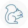 Shevington Rodent Removals